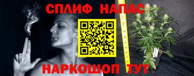 гашик Заводоуковск