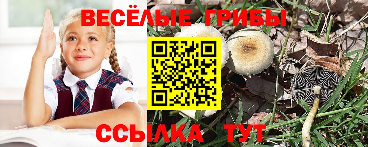Псилоцибиновые грибы ЛСД  Вход с VPN  Мирный 